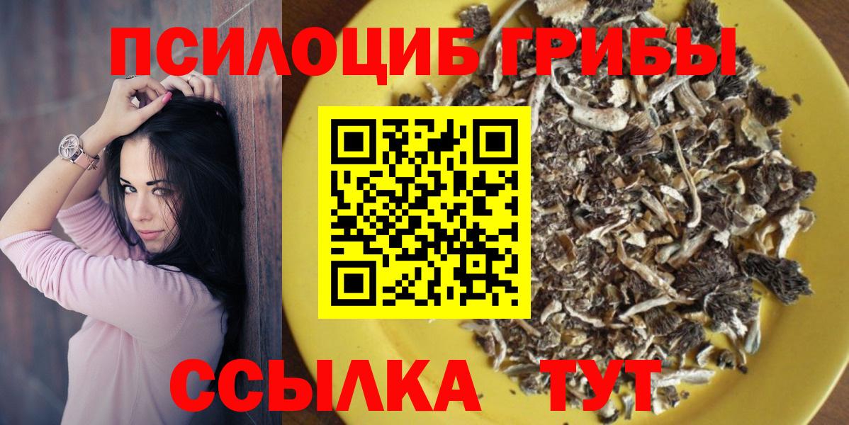 Псилоцибиновые грибы мицелий Белово